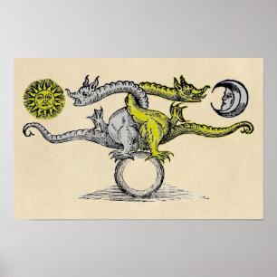 Gold- en Silver Dragon-symbool Poster