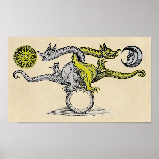 Gold- en Silver Dragon-symbool Poster (Voorkant)