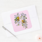 Gold Finch Birds & Apple Tree Pink Vierkante Sticker (Envelop)