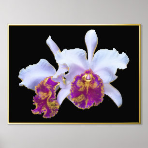 Gold Foil Accent Pair White Paarse Orchids Print