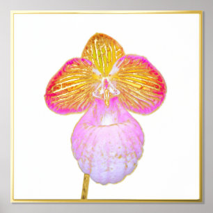 Gold Foil Accent Red Moon Orchid Print