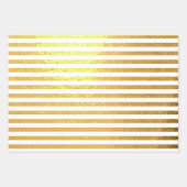 Gold Foil Lady Bugs Polka Dots Stripes (Voorkant 3)