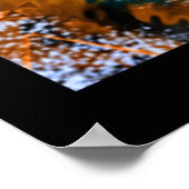 Gold Frost Poster (Hoek)