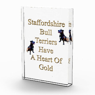 Gold Heart Staffordshire Bull Terrier, Photo Block Fotoblokken