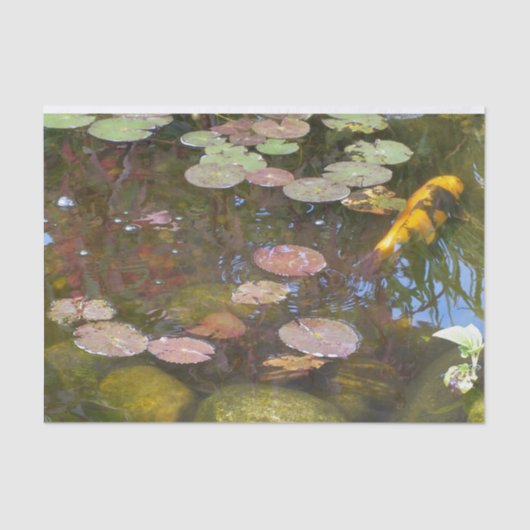 Gold Koi in Lily-vijver Tissuepapier (Voorkant)