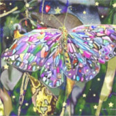 Gold Leaf Buttterfly Sticker (Voorkant)