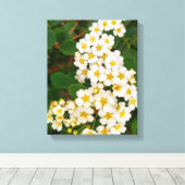 Gold-leaf Spirea Canvas Afdruk (Insitu (Houten vloer))