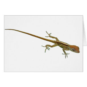 Gold Lizard Wenskaart