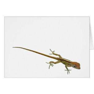 Gold Lizard Wenskaart