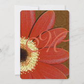 Gold Metallic Gerber Daisy Faire-part de mariage (Dos)