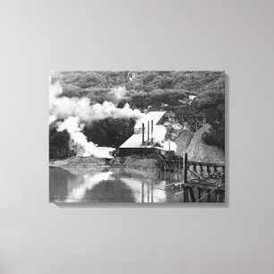 Gold Mine in Valdez, Alaska-foto Canvas Afdruk