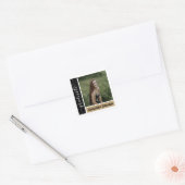 Gold Modern Block Photo Afstuderen Vierkante Sticker (Envelop)