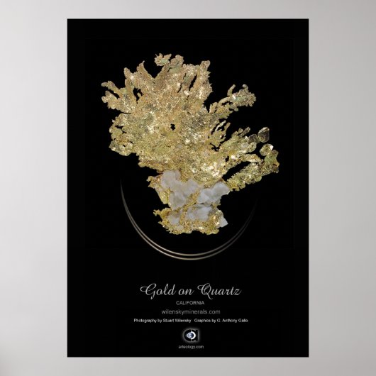 GOLD POSTER (Voorkant)