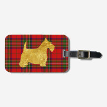 Gold Scottish Terrier op pad