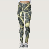 Gold Star Leggings (Voorkant)