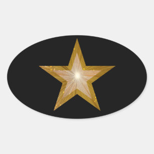 Gold Star ovale sticker zwart