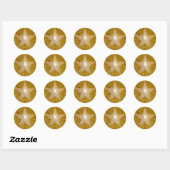 Gold Star ronde sticker (Vel)
