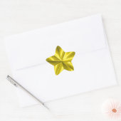 Gold Star Ster Sticker (Envelop)