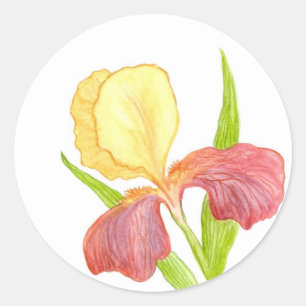 Gold Top Iris-Sticker Ronde Sticker