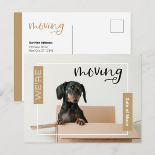 Gold We verplaatsen Dachshund Dog in Box Briefkaar Briefkaart