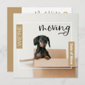 Gold We verplaatsen Dachshund Dog in Box Kaart (Voorkant / Achterkant)