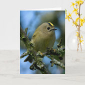 Goldcrest in het bos kaart (Gele Bloem)