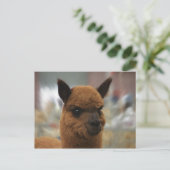 Golden Alpaca Briefkaart (Staand voorkant)