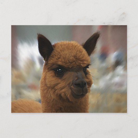 Golden Alpaca Briefkaart (Voorkant)