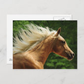 Golden Ambers Briefkaart (Voorkant / Achterkant)