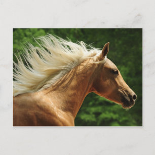 Golden Ambers Briefkaart