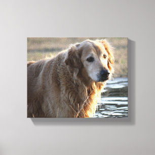 Golden Angel Canvas Afdruk