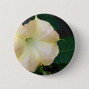 Golden Angels trompet dicht Ronde Button 5,7 Cm