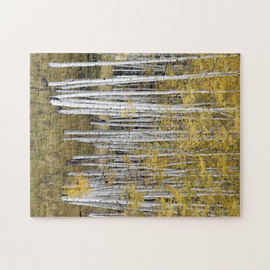 Golden Aspen Trees Puzzle Legpuzzel (Horizontaal)