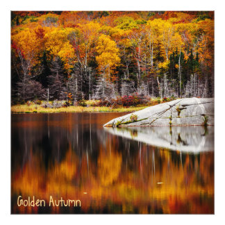 Golden Autumn Foto Afdruk