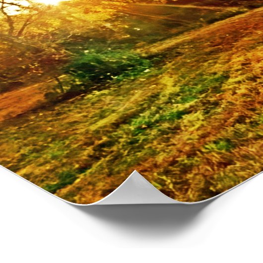 Golden Autumn Print, Value Poster Paper (Matte) (Coin)