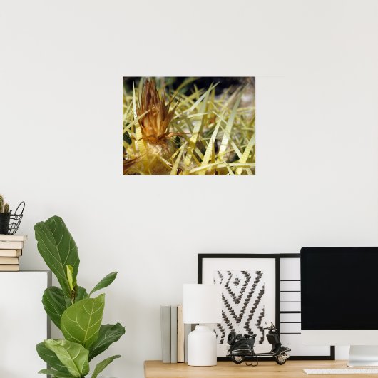 Golden Barrel Cactus Flower, print (Thuiskantoor)