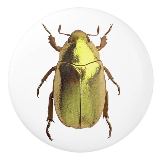 Golden Beetle Ceramic Knob Keramische Knop (Voorkant)