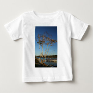 Golden Birch met schip