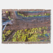 Golden bladeren op de westvorkstrook deken (Voorkant)