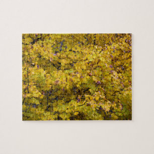 Golden bladeren van Herfst - 8 x 10 inch Legpuzzel