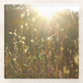 "Golden Blades of Sunlight" Oorspronkelijke kunst  Glazen Onderzetter