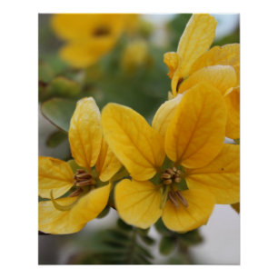 Golden Bloom Macro – Gele Wildflower Fotografie Perfect Poster
