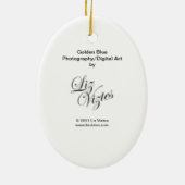 Golden Blue Oval Ornament (Achterkant)