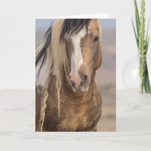 "Golden Boy"-briefkaart Kaart