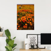 Golden California Poppies Poster (Thuiskantoor)
