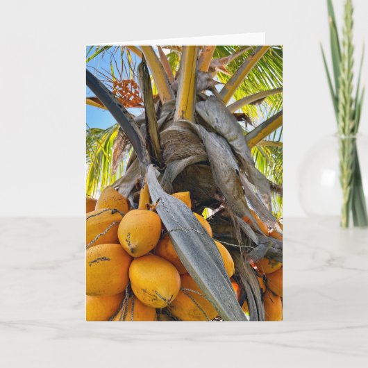 Golden Coconuts Bedankkaart (Voorkant)