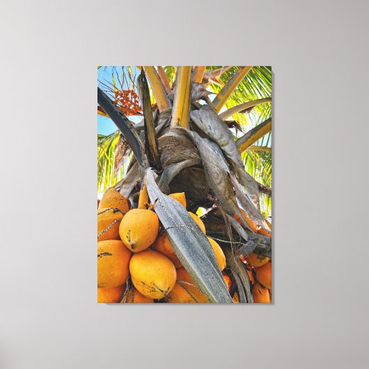 Golden Coconuts Canvas Afdruk (Voorkant)