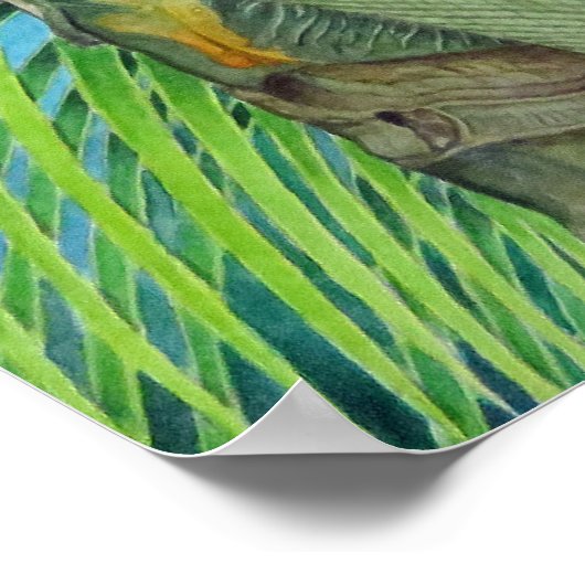 Golden Coconuts Poster (Hoek)