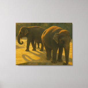 Golden Companions - Olifantentrio in warm licht Canvas Afdruk