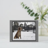 Golden-Conservatory Water-Central Park Briefkaart (Staand voorkant)